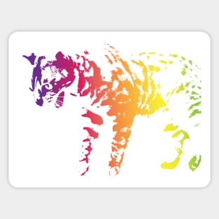 Rainbow Angry Cat Sticker